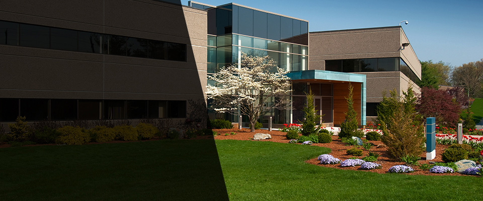 Marianna Landscapers